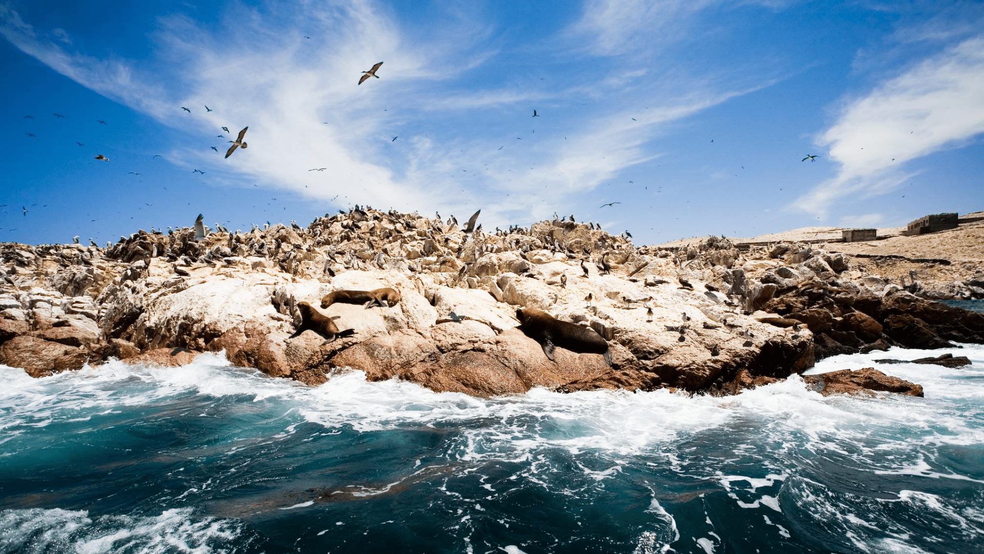 playas de paracas