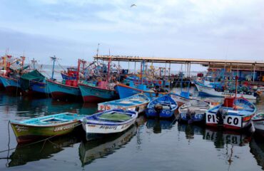 Botes en pisco