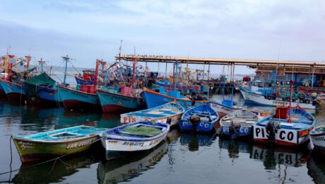 Botes en pisco