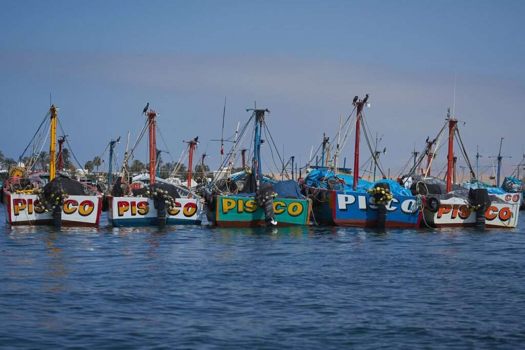 Lugares para visitar en Pisco