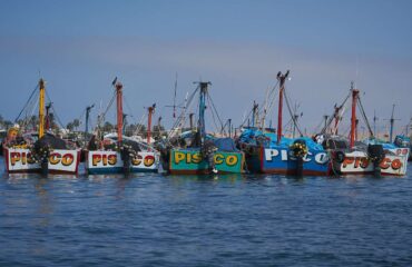 Lugares para visitar en Pisco