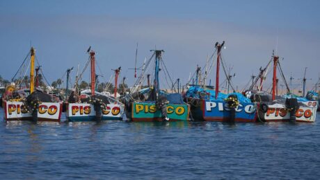 Lugares para visitar en Pisco